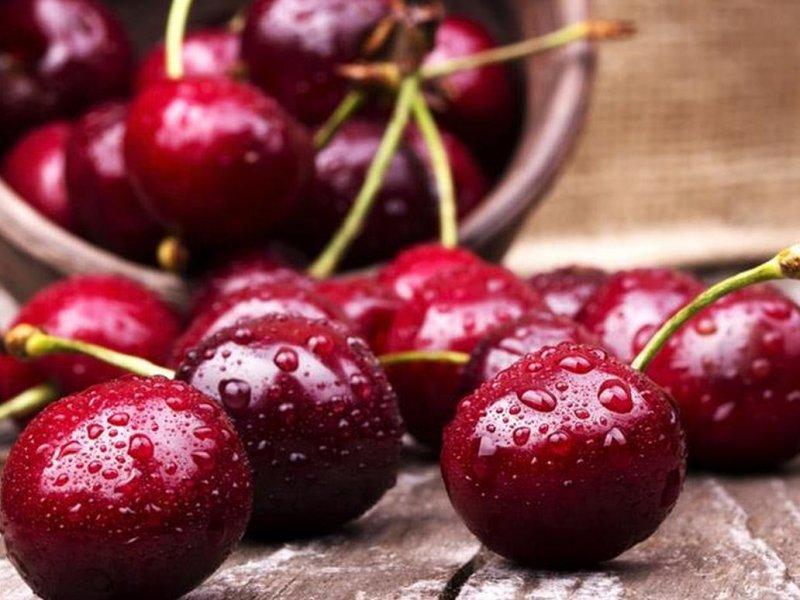 Вишня купить саженцы из питомника в Кингисеппе